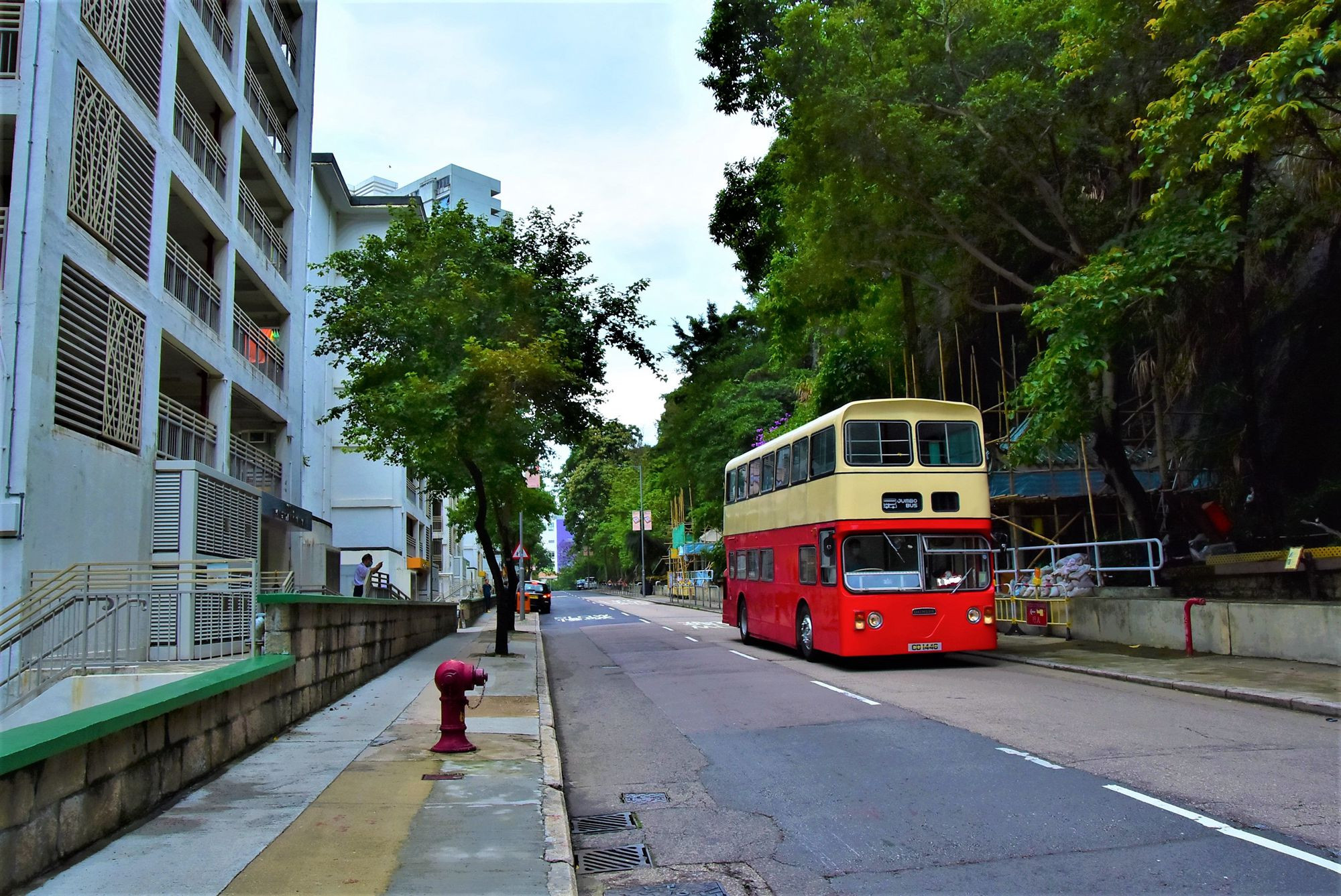 DSC_8234 - 複製.JPG