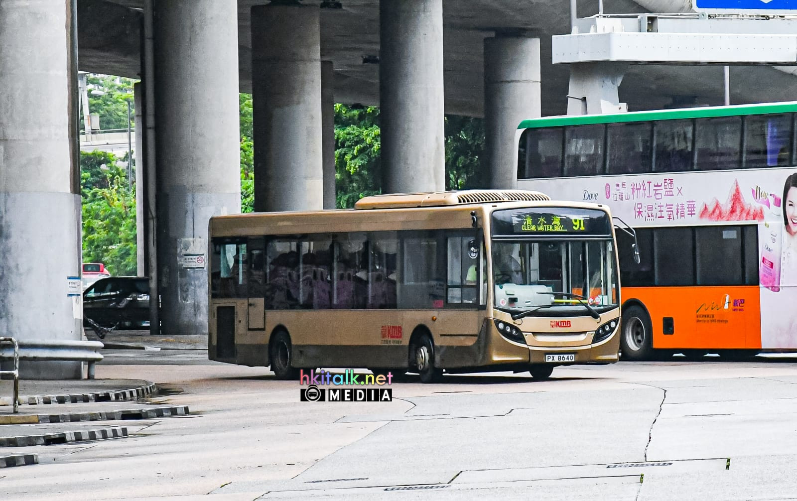 PX8640.jpeg