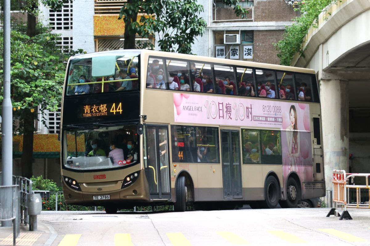 TE3786@44.jpg