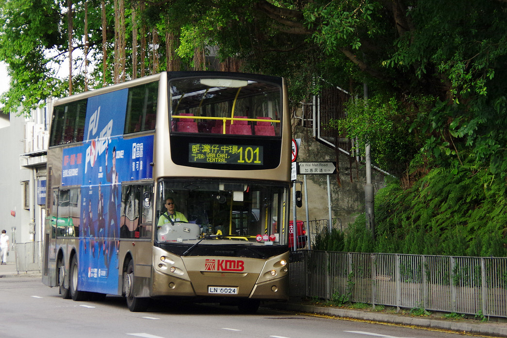 P5497.jpg
