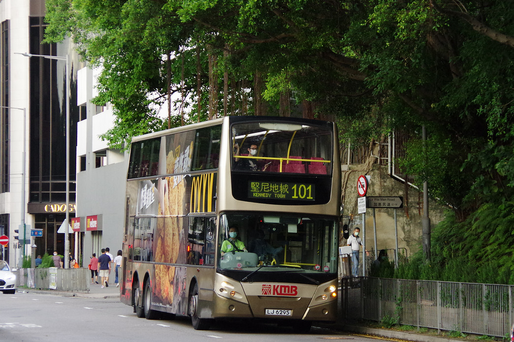 IMGP5503.jpg