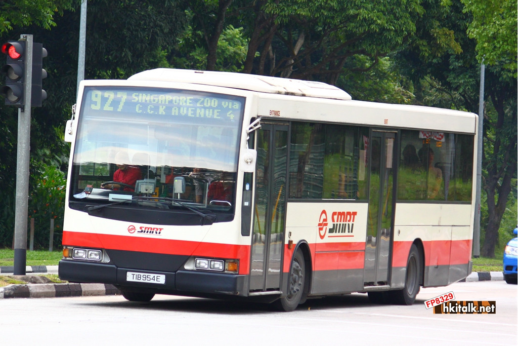 TIB954E.JPG