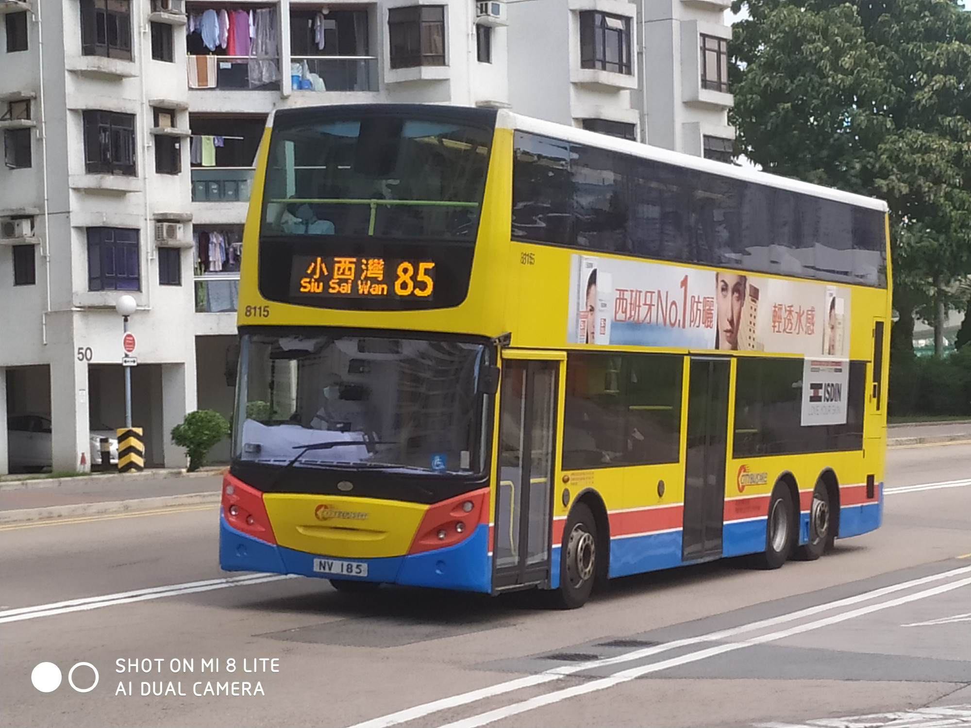 8115.jpg