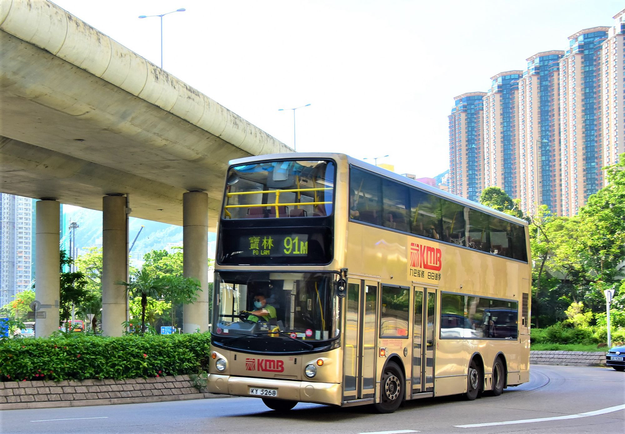 DSC_1631 - 複製.JPG
