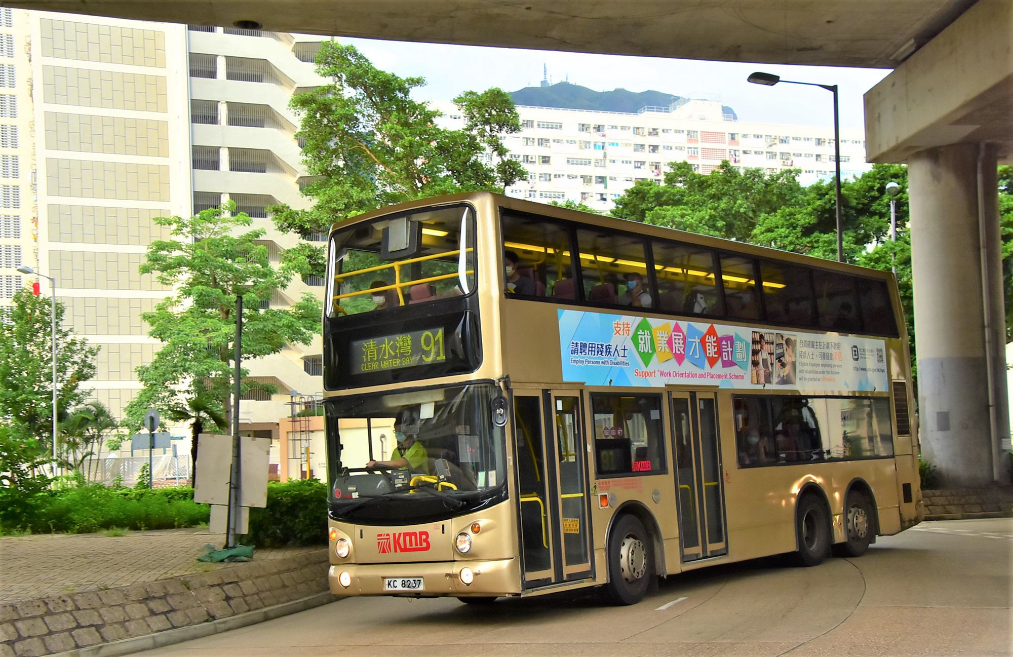 DSC_2482 - 複製.JPG