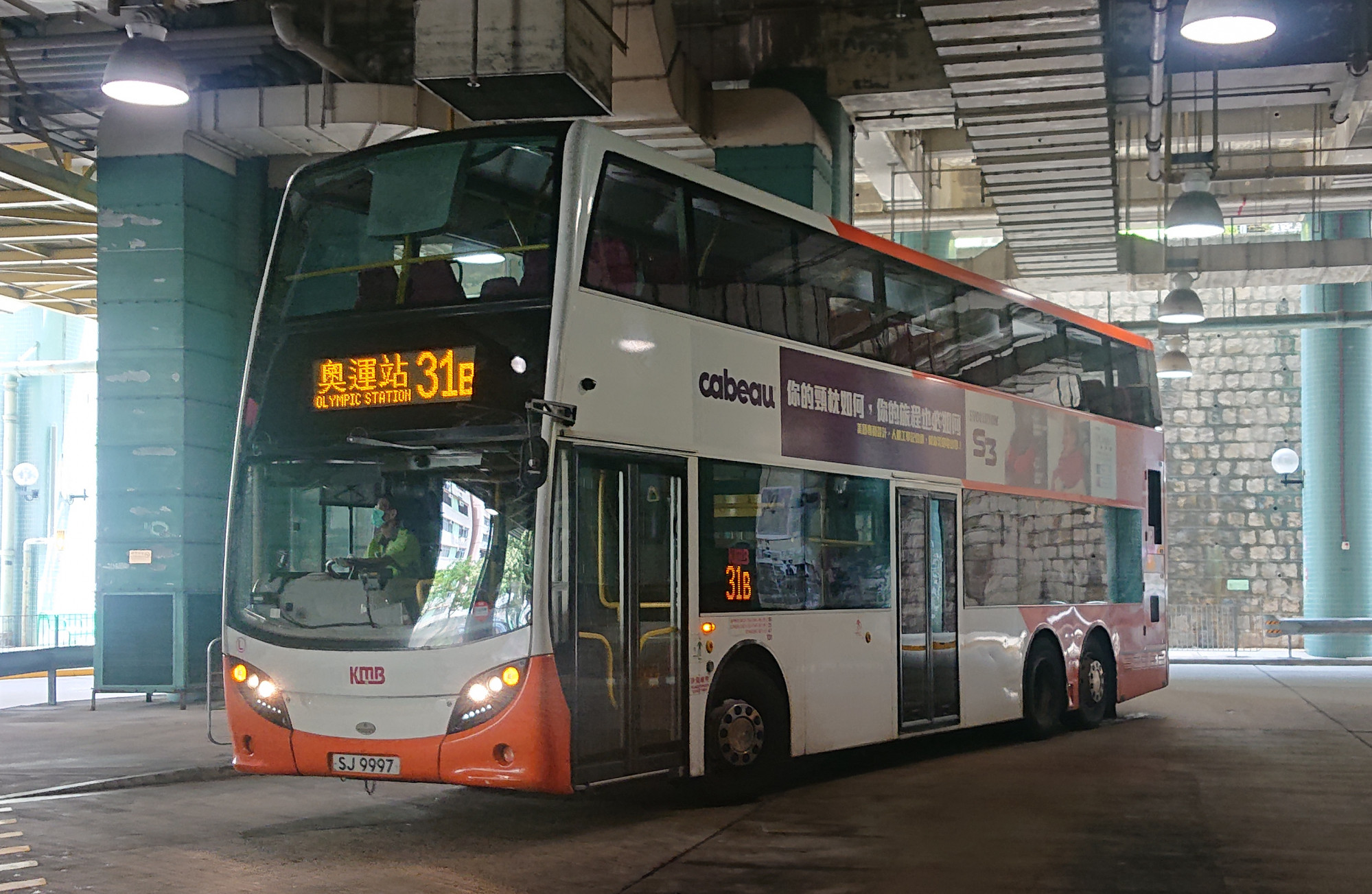 DSC_5393.jpg