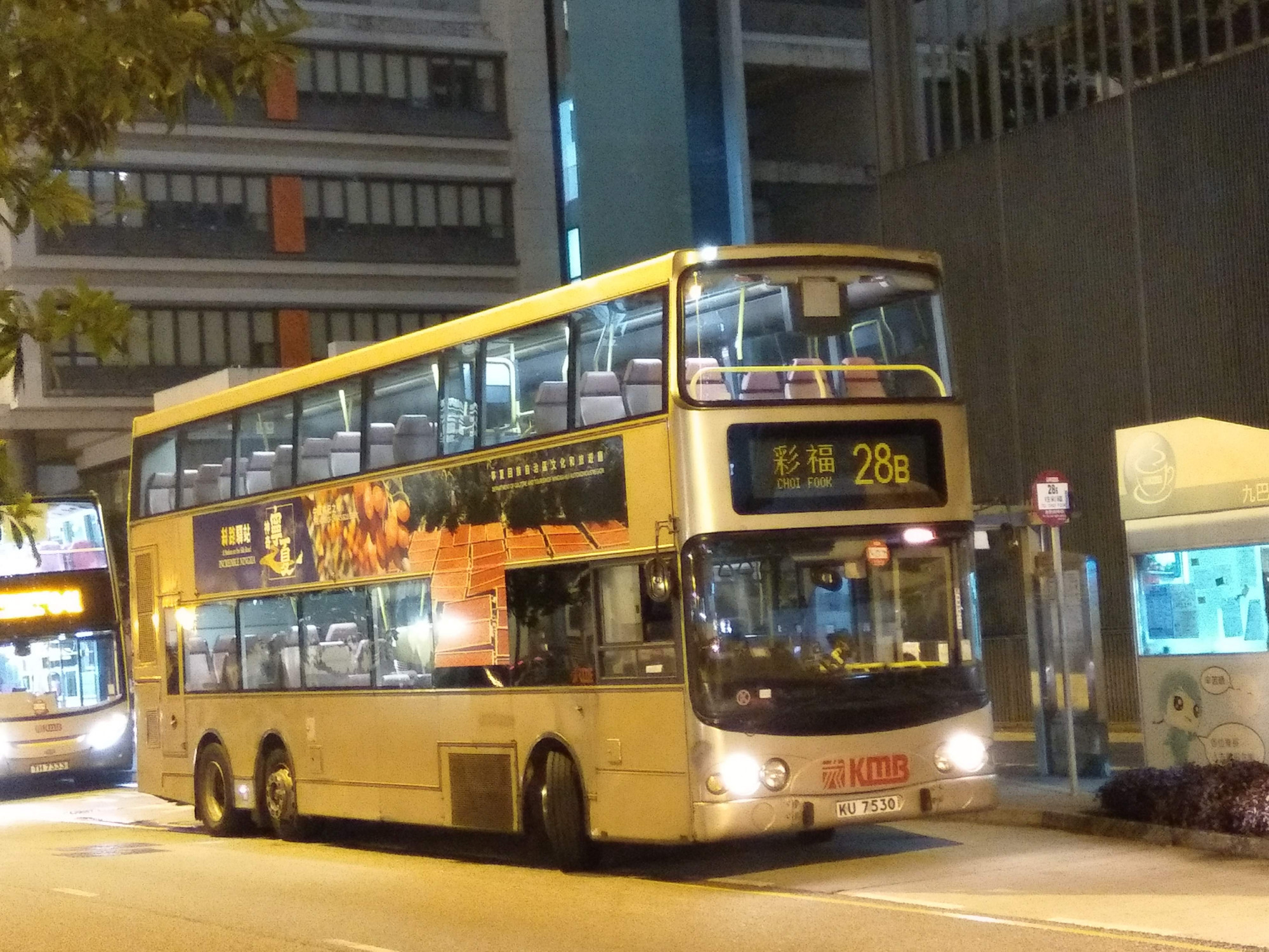 IMAG9263.jpg