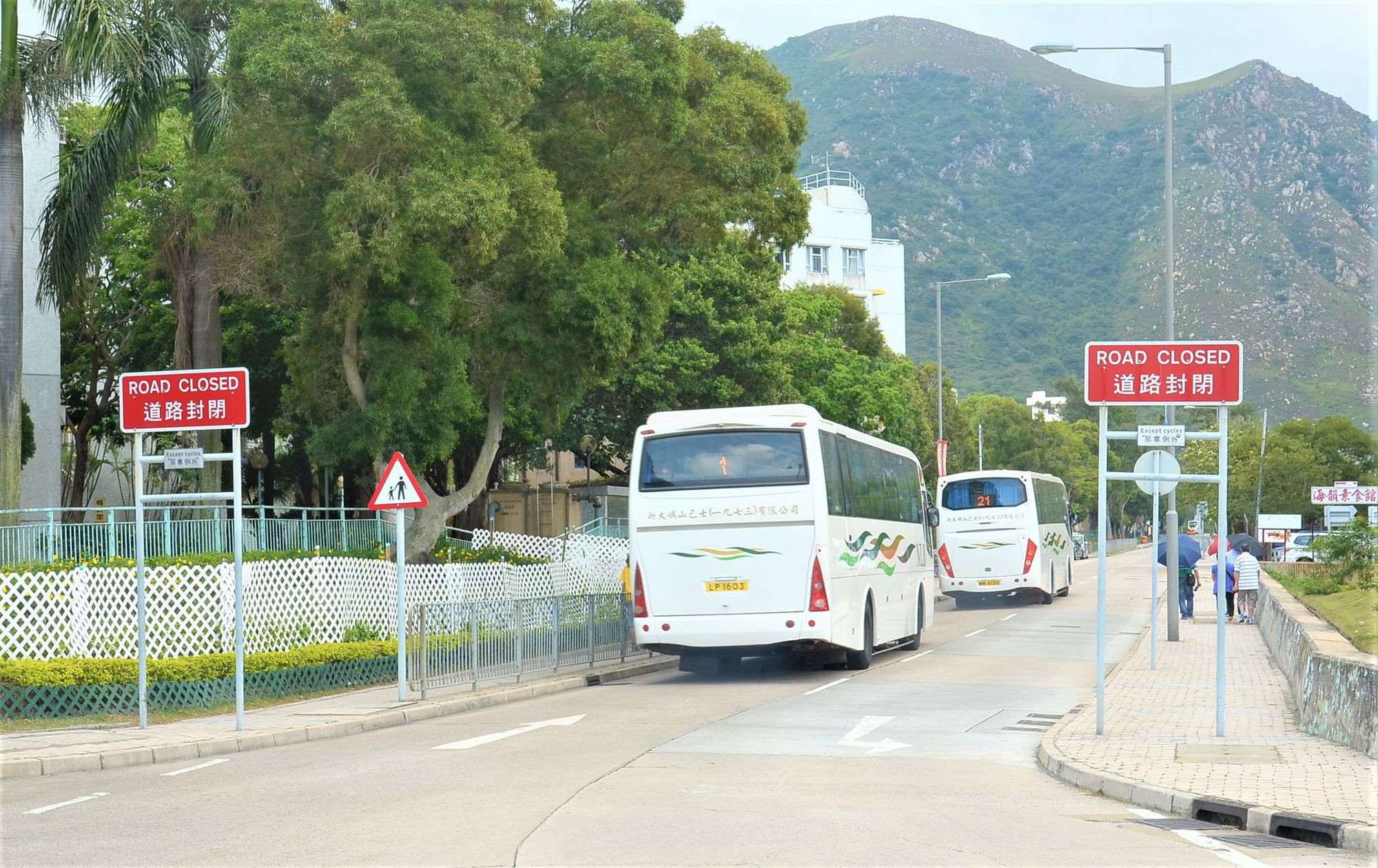 DSC_8597 - 複製.JPG