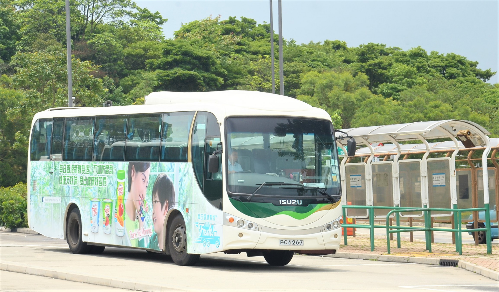 DSC_8553 - 複製.JPG