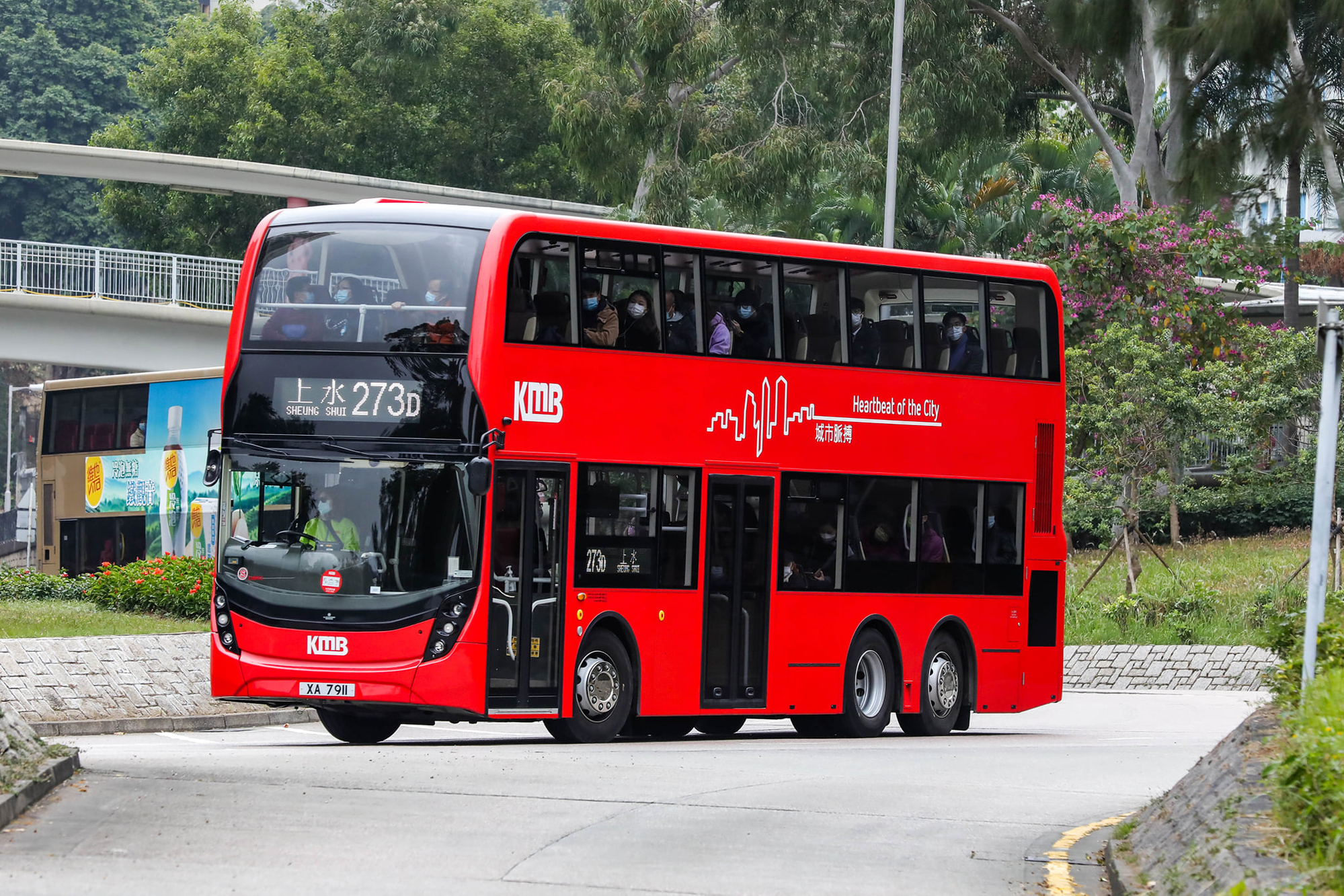 XA7911 273D.jpg