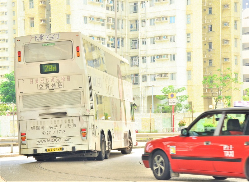 DSC_6964 - 複製.JPG