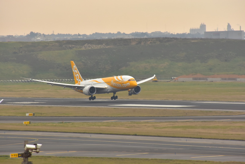 DSC_2396 - 複製.JPG
