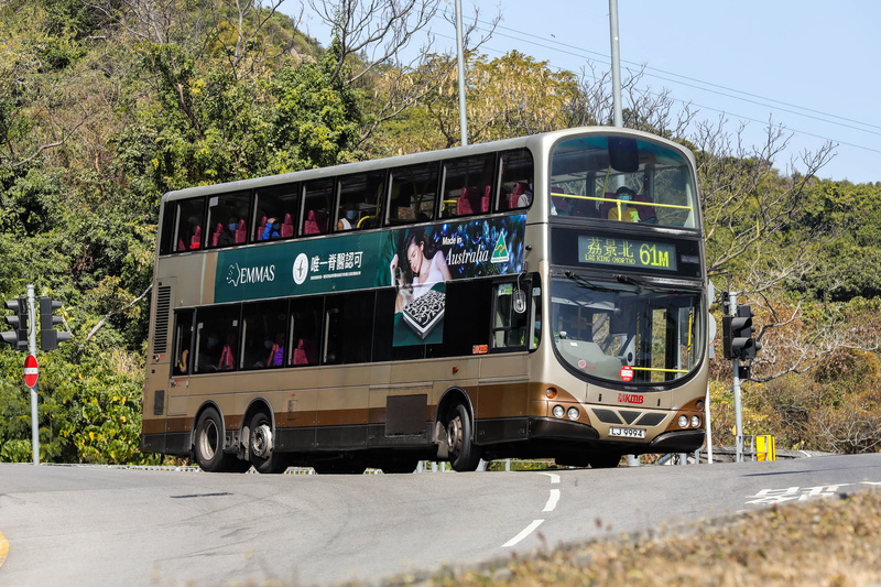 LJ9994 61M.jpg