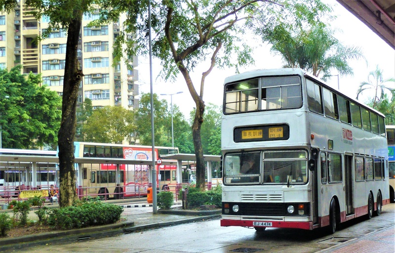 P1160773 - 複製.JPG