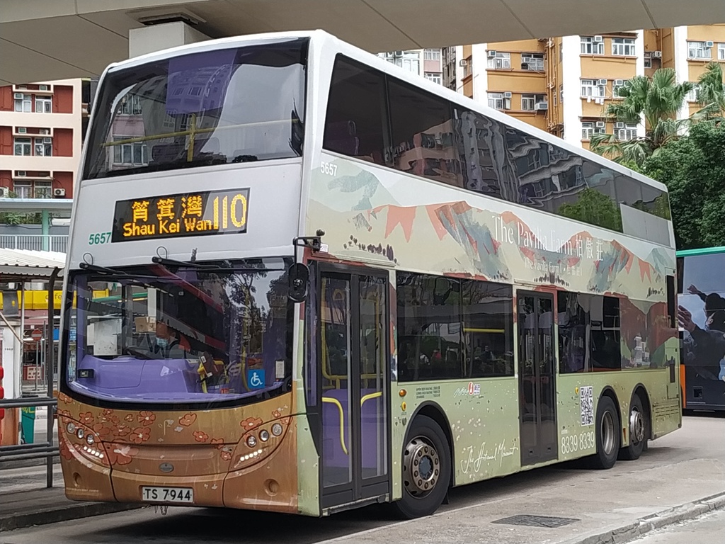 5657.jpg