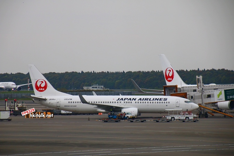 Japan Airlines JA320J Boeing 737-846.JPG