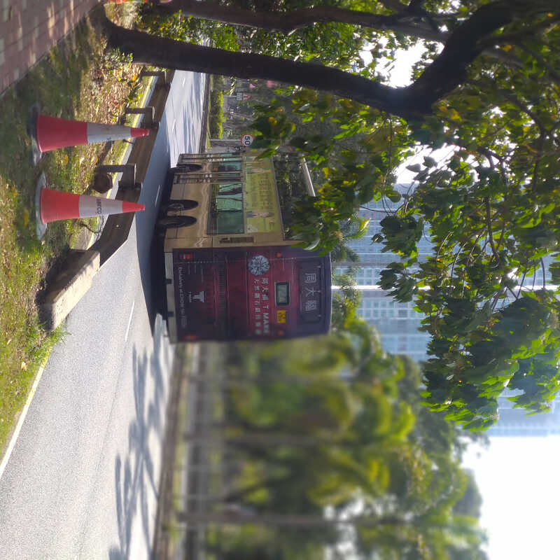 DSC_BOK_20210421153449351.jpg