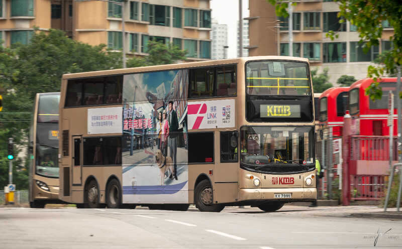20190521-DSC_2340.jpg