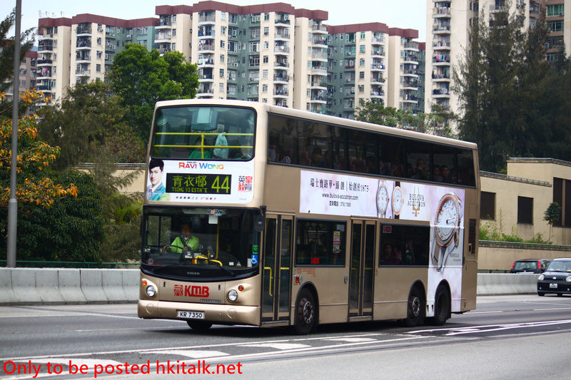3ASV (3).JPG
