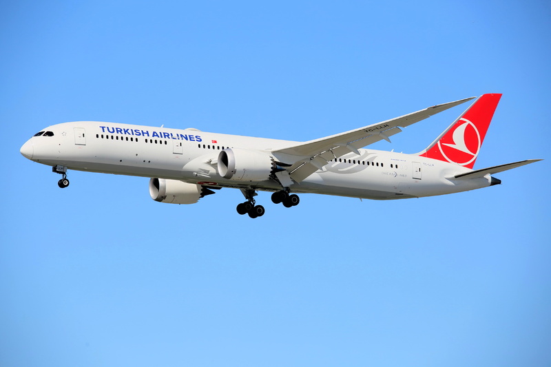 TurkishAirlines_TC-LLH_b.JPG