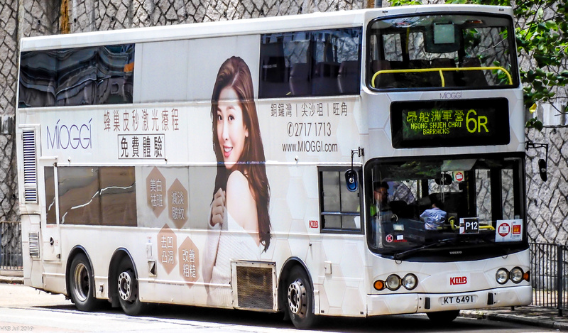 3ASV454_6R.jpg