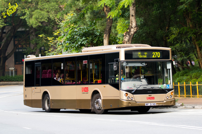 191d46b.jpg