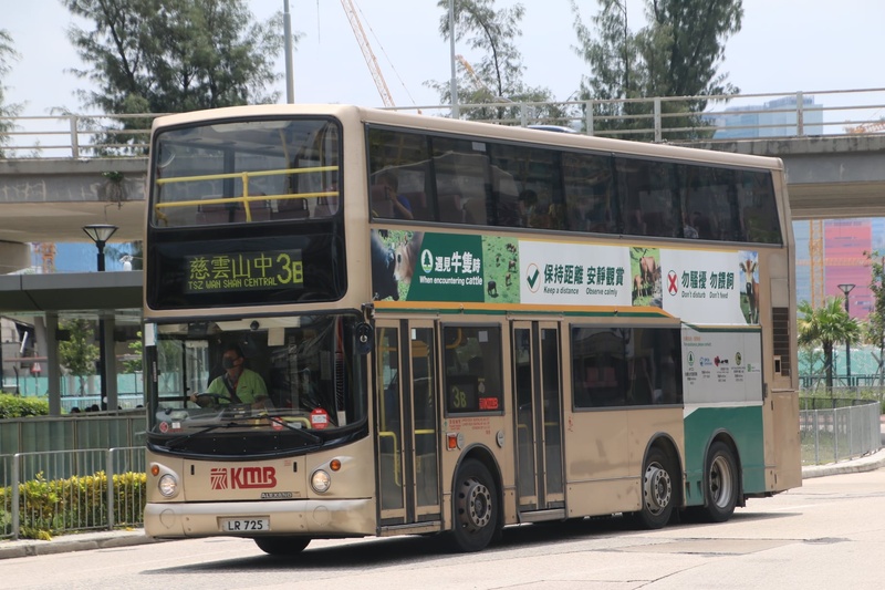 3b.jpg