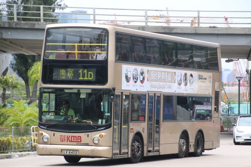 11D.jpg