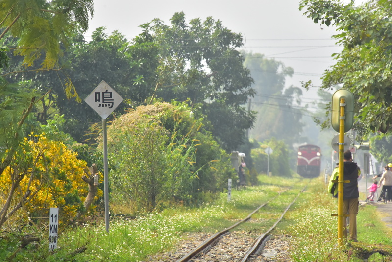 DSC_1017 - 複製.JPG