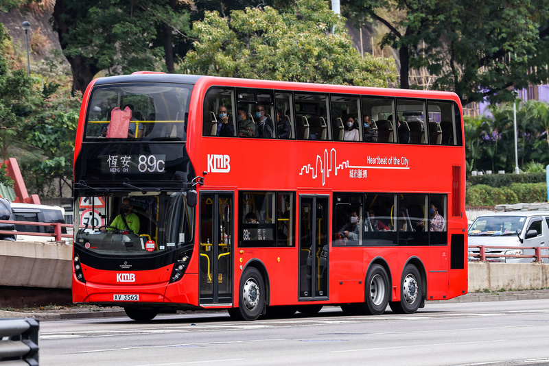 XV3562.jpg