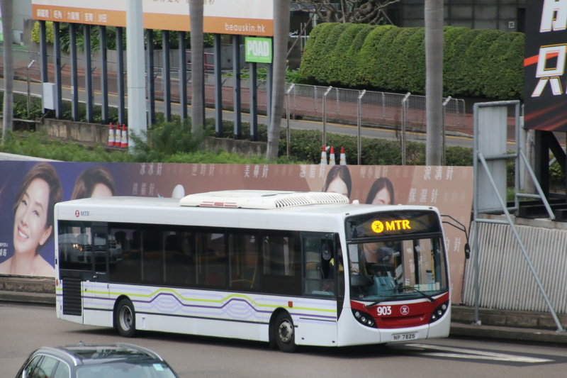 IMG_7463.JPG