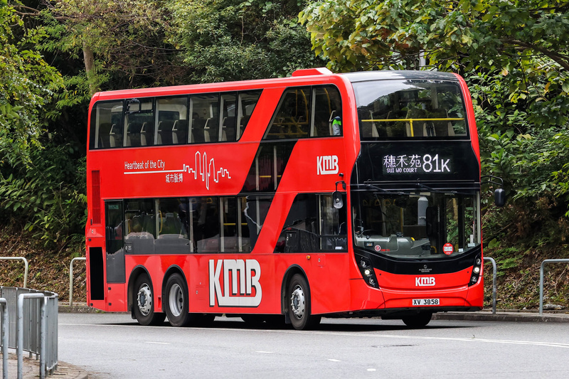 XV3858 81K.jpg