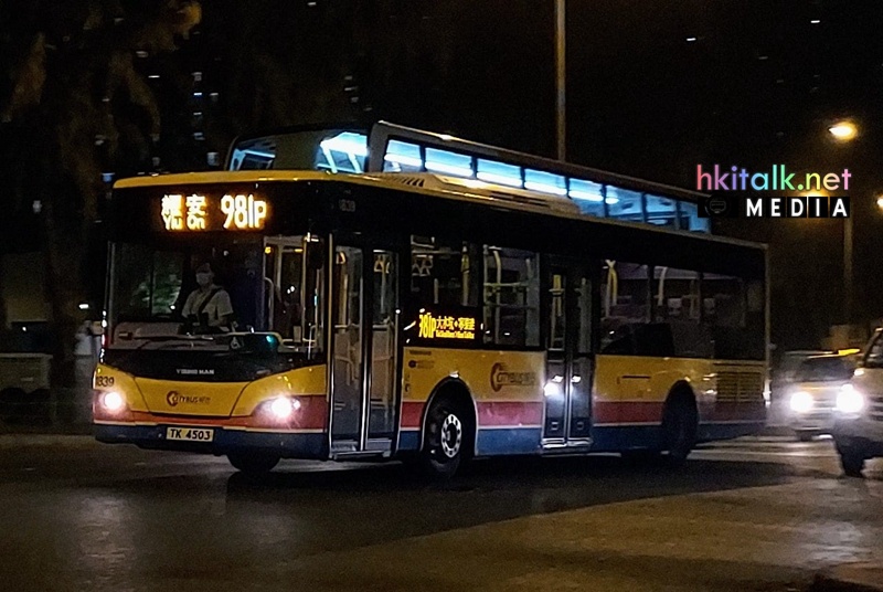 981P (1).jpeg