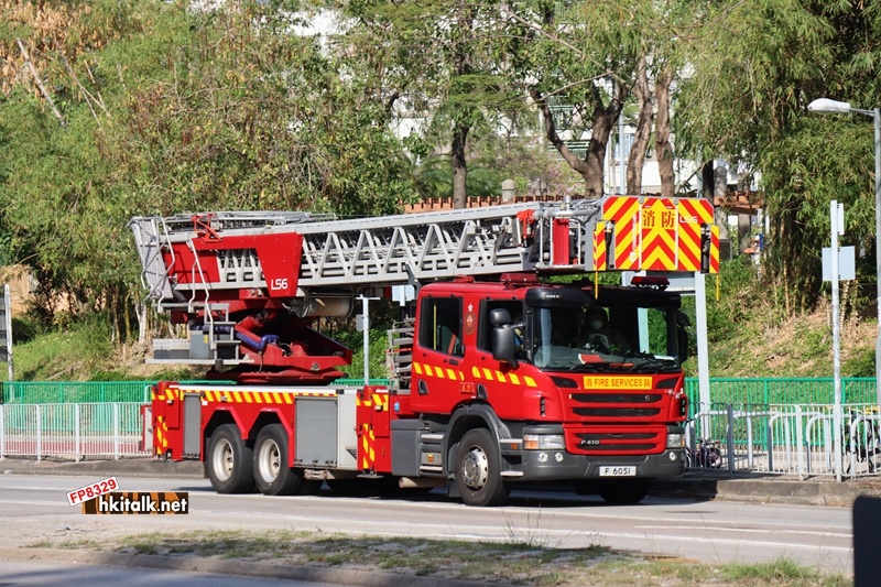 F6051 SCANIA P410 Metz L56米鋼梯.JPG