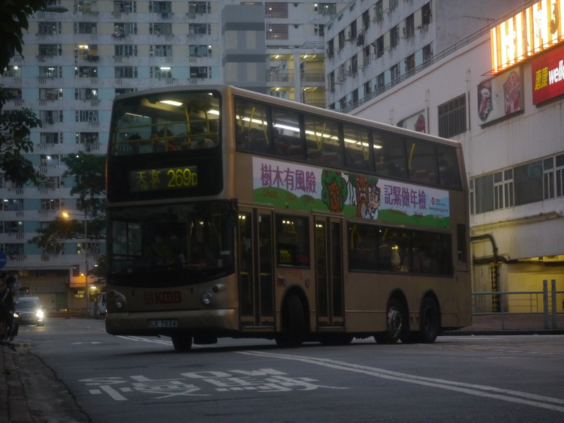 P1560653.JPG