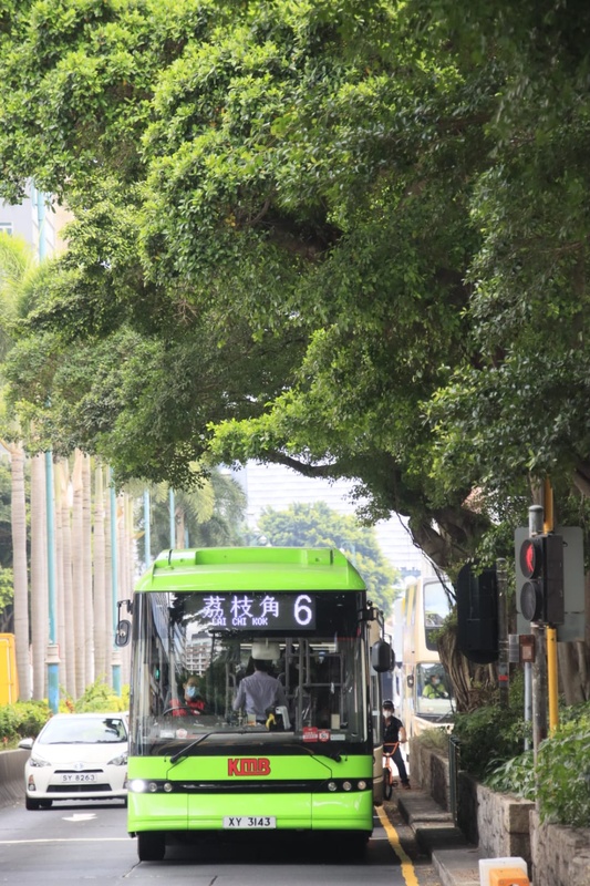 Green bus (2).jpeg