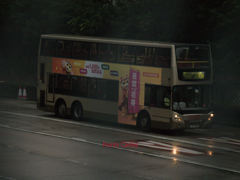 P1770571.jpg