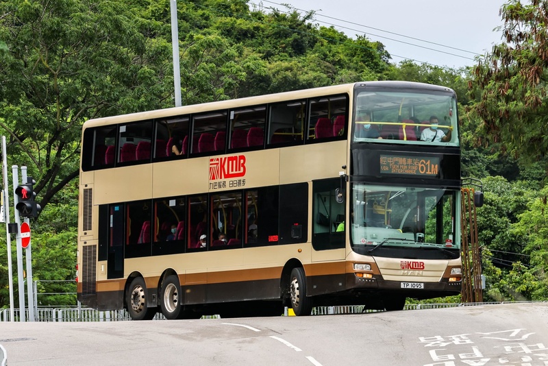 TP1095 61M.jpg