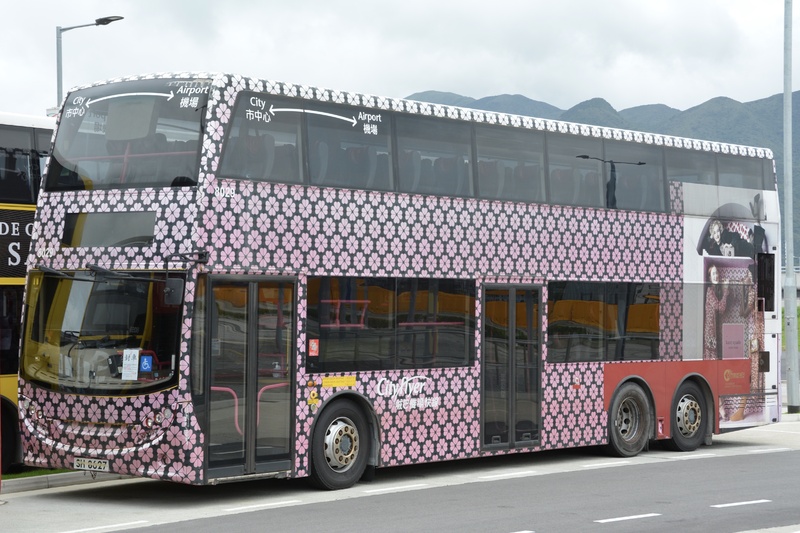 DSC_0845.JPG