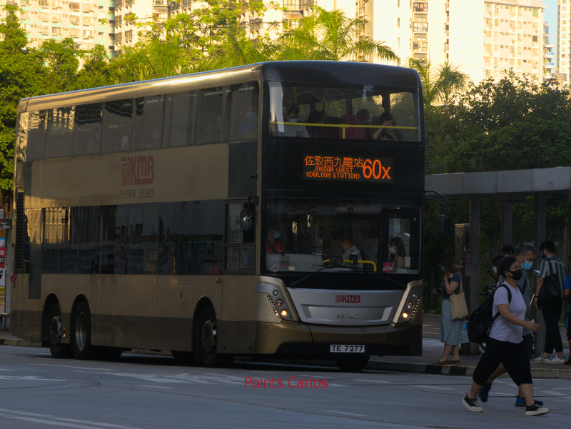 P1810614.jpg