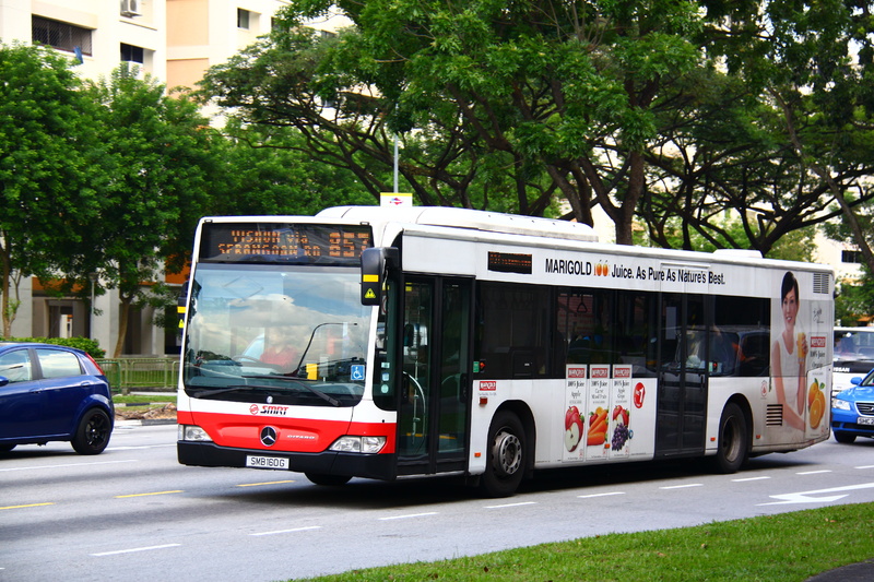 CITARO (2).JPG