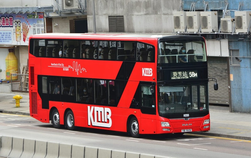 YB9651.jpeg