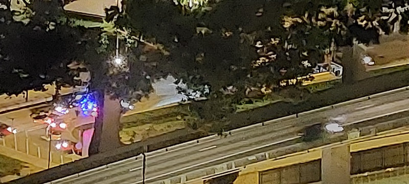 20221209_234542.jpg