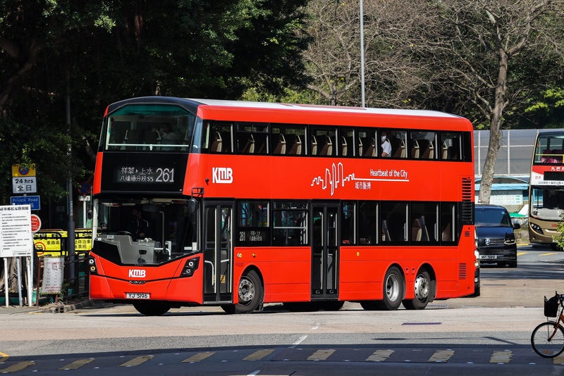 YJ5196.jpg