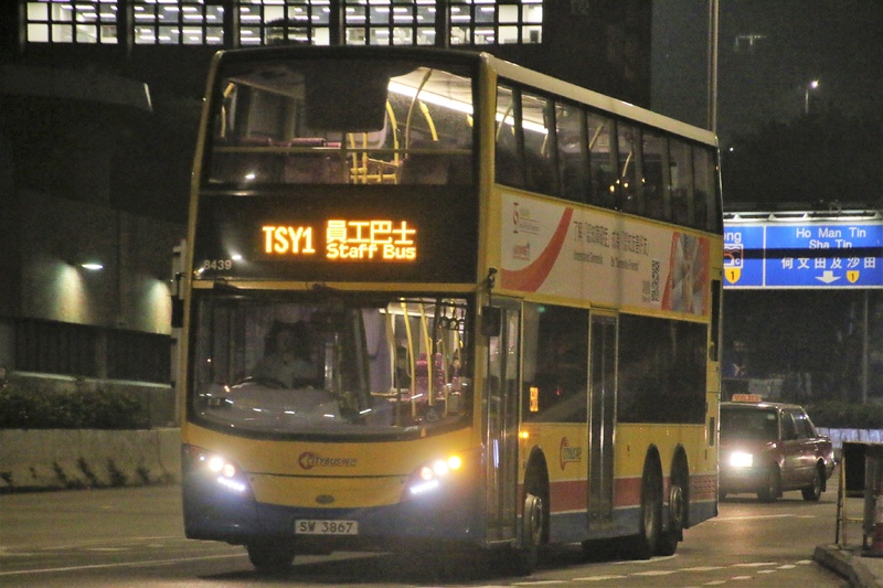 TSY1.JPG