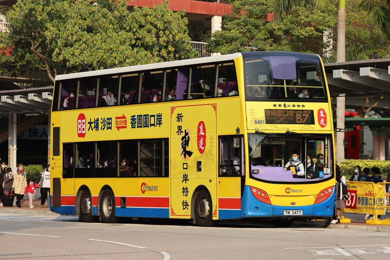 8491.jpg