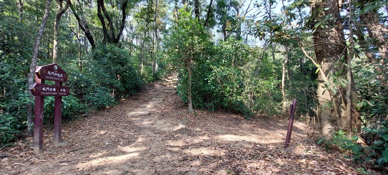 20230225_144405.jpg