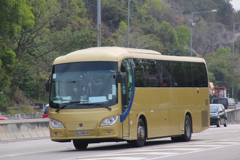 GOLDBUS1.jpg