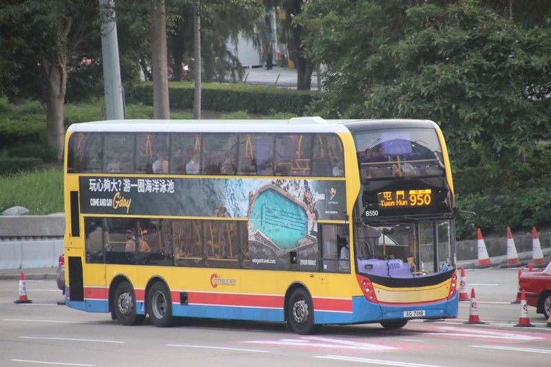950.jpg