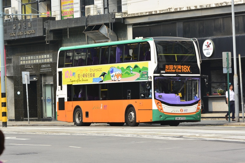 3800.jpg